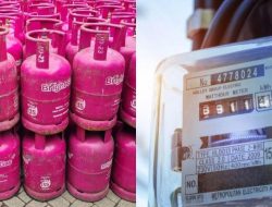 Harga Elpiji dan Tarif Listrik Tidak Berubah Mulai 1 Desember 2024