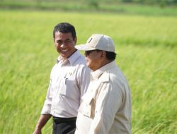 Bulog akan jadi Badan di Bawah Prabowo, Mentan Amran: Kami Fokus Produksi