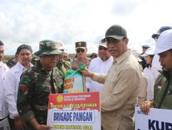 TNI Turun Tangan dalam Program Swasembada Pangan untuk Dukung Petani Milenial
