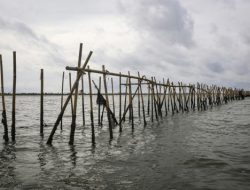 Polemik Pagar Laut di Tangerang: Konfirmasi Sertifikat HGB dan SHM, serta Langkah Selanjutnya