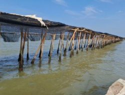 Pembatalan Sertifikat SHGB di Pagar Laut Tangerang: Publik Pertanyakan Keputusan Pemerintah