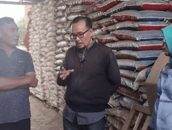 “Penggerebekan Gudang Sungai Lilin: Pupuk Cap GARUDA dan Dugaan Kebal Hukum MF”