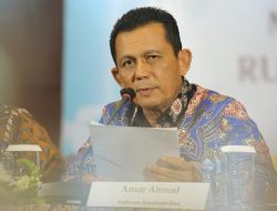 “Pulau Dijajakan Secara Daring, Pemerintah Kepri Lacak Dugaan Perdagangan Wilayah Negara”