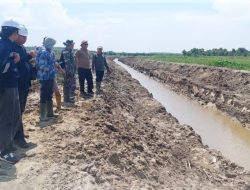 “Evaluasi Baru Cetak Sawah Sumsel: Progres Bergerak, Tantangan Meningkat”