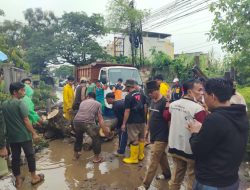 “Pohon Tumbang Lumpuhkan Akses Empat Jam di Seberang Ulu I, Warga Minta Pemkot Palembang Waspadai Pohon Tua Berisiko”