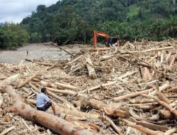 “Dugaan Pembalakan Liar Menguat Usai Banjir Batangtoru”