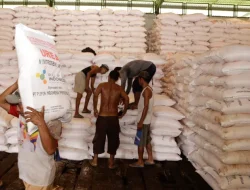 “Perpres Baru Pupuk Subsidi, Negara Benahi Arus Dana dan Pengawasan”