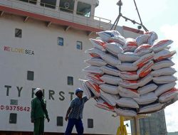 “Impor Beras Masih Tinggi di Tengah Lonjakan Produksi Nasional”