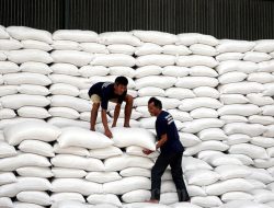 “Kementan Bantah Impor Beras Medium, Data BPS Terus Jadi Sorotan”