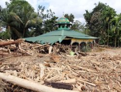 “Banjir Mematikan Sumatra: Publik Tuntut Investigasi Lingkungan Tanpa Kompromi”