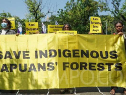 “Penolakan Sawit Papua Menggema, Otonomi Khusus Dipertaruhkan”