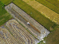 “Arah Baru Investasi Padat Karya: Pertanian Didorong, Industri Menunggu Kepastian”