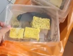 “Lele Mentah dalam Paket MBG Pamekasan Picu Polemik Standar Gizi Program Nasional”
