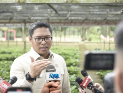 “Peluang Ekspor Pupuk Menganga, Indonesia Diuji Jaga Kepentingan Petani Domestik Nasional”